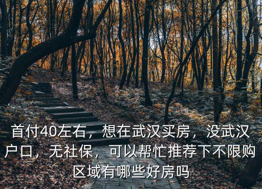 首付40左右，想在武漢買房，沒武漢戶口，無社保，可以幫忙推薦下不限購區域有哪些好房嗎