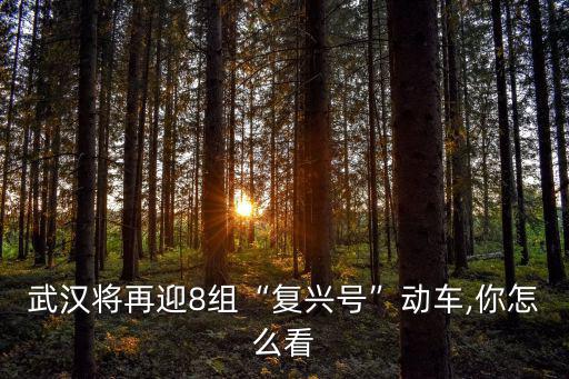 武漢將再迎8組“復興號”動車,你怎么看