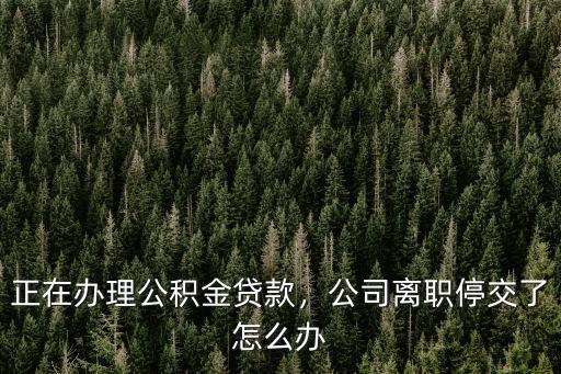 武漢公積金貸款如果中間停繳了怎么辦,公積金斷交了還的貸款怎么變