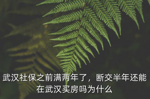 在武漢買房社保斷交了怎么辦,在武漢社保如果斷繳了