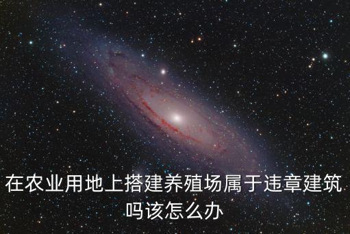 河南商丘寧陵農田違章建筑怎么辦,面對違章建筑