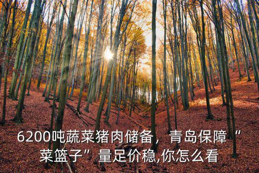 宜昌菜籃子怎么保障,青島保障菜籃子量足價穩