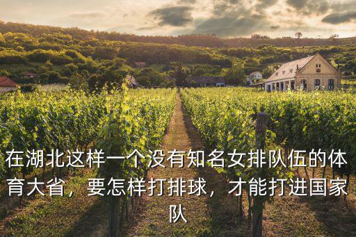 湖北怎么挑選排球,要怎樣打排球