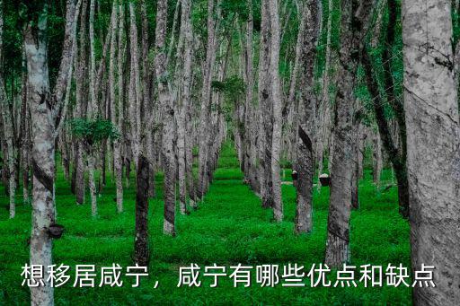 想移居咸寧，咸寧有哪些優點和缺點