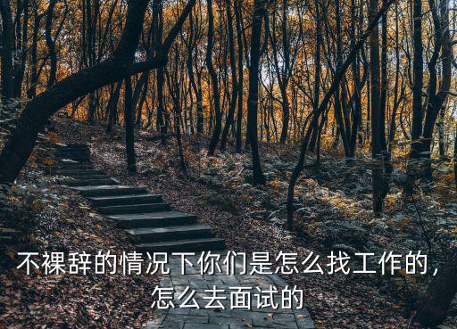 不裸辭的情況下你們是怎么找工作的，怎么去面試的
