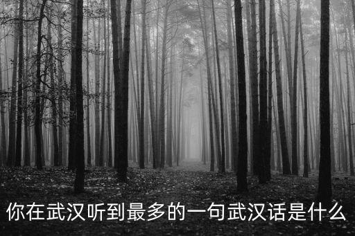 武漢愛(ài)語(yǔ)屋口語(yǔ)怎么樣,武漢英語(yǔ)口語(yǔ)哪里培訓(xùn)好