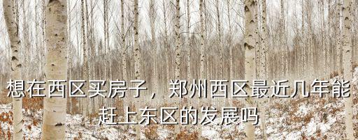 想在西區買房子，鄭州西區最近幾年能趕上東區的發展嗎