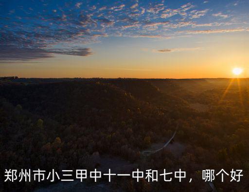 鄭州市小三甲中十一中和七中，哪個好