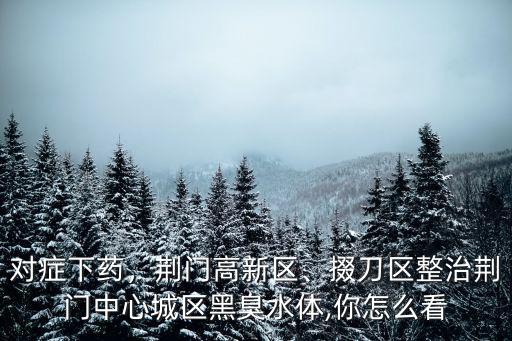 對癥下藥，荊門高新區、掇刀區整治荊門中心城區黑臭水體,你怎么看