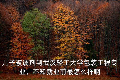 兒子被調(diào)劑到武漢輕工大學(xué)包裝工程專業(yè)，不知就業(yè)前最怎么樣啊