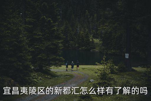 宜昌市夷陵區未來發現怎么樣,宜昌夷陵區的新都匯怎么樣