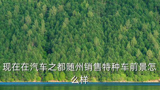 現在在汽車之都隨州銷售特種車前景怎么樣