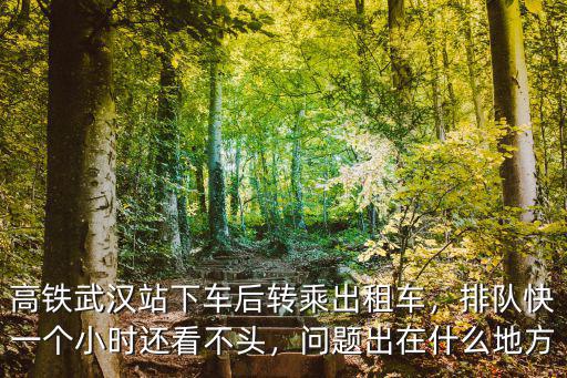 高鐵武漢站下車后轉(zhuǎn)乘出租車，排隊快一個小時還看不頭，問題出在什么地方