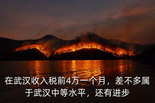 在武漢收入稅前4萬一個月，差不多屬于武漢中等水平，還有進步