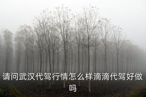 請問武漢代駕行情怎么樣滴滴代駕好做嗎