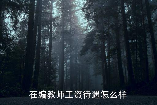在編教師工資待遇怎么樣