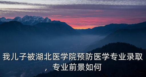 我兒子被湖北醫學院預防醫學專業錄取，專業前景如何