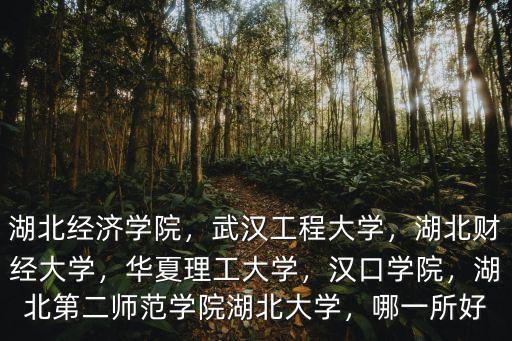 湖北經濟學院，武漢工程大學，湖北財經大學，華夏理工大學，漢口學院，湖北第二師范學院湖北大學，哪一所好