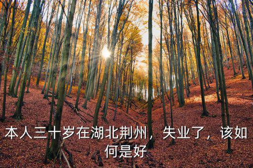 本人三十歲在湖北荊州，失業了，該如何是好