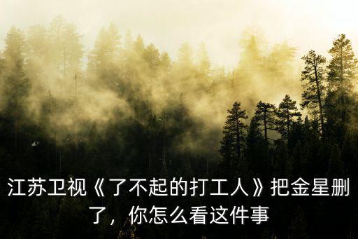江蘇衛視《了不起的打工人》把金星刪了，你怎么看這件事