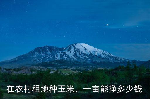 河南農村每畝地能收入多少錢,一畝地能收入多少錢呢