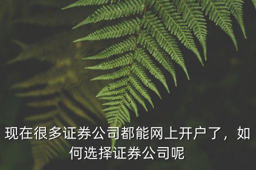 現在很多證券公司都能網上開戶了，如何選擇證券公司呢