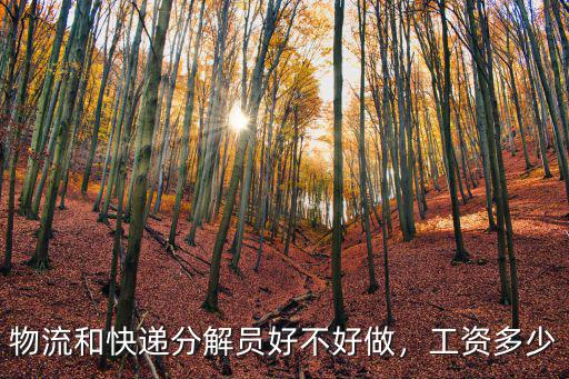 物流和快遞分解員好不好做，工資多少