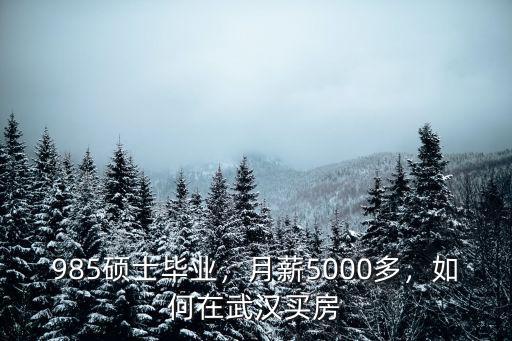 985碩士畢業(yè)，月薪5000多，如何在武漢買房