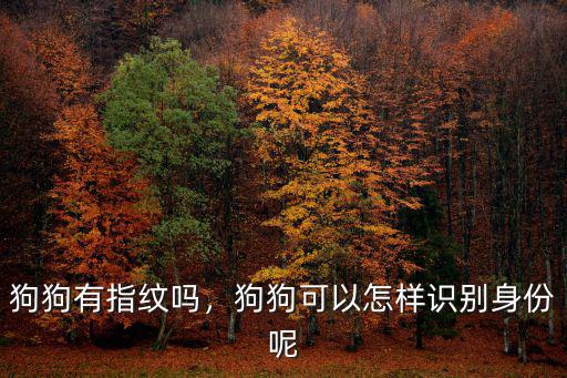 狗狗有指紋嗎，狗狗可以怎樣識別身份呢