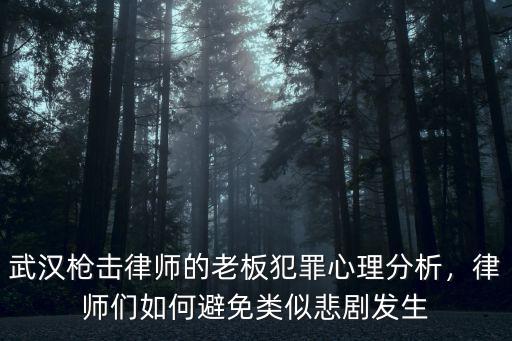 武漢槍擊律師的老板犯罪心理分析，律師們?nèi)绾伪苊忸愃票瘎“l(fā)生