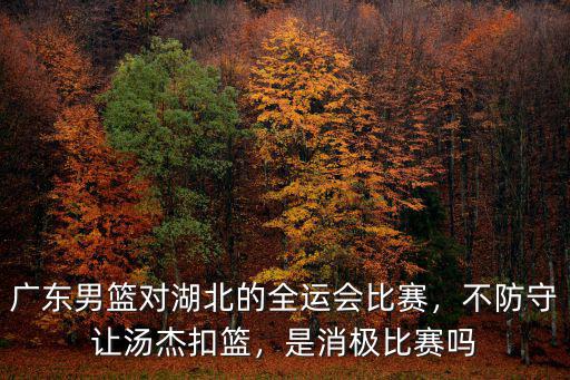 湖北男籃怎么樣,69勝湖北男籃