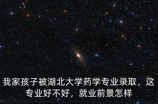 我家孩子被湖北大學藥學專業錄取，這專業好不好，就業前景怎樣