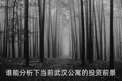 誰能分析下當前武漢公寓的投資前景