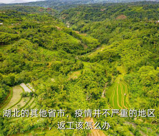 湖北的其他省市，疫情并不嚴(yán)重的地區(qū)，返工該怎么辦