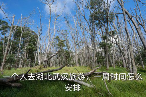 一個人去湖北武漢旅游，一周時間怎么安排