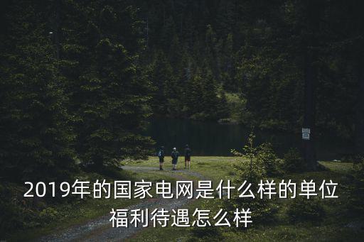 2019年的國家電網是什么樣的單位福利待遇怎么樣
