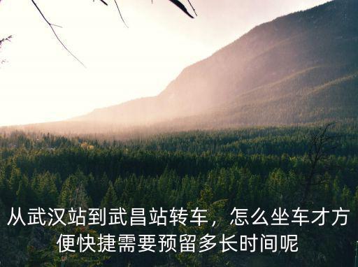 從武漢站怎么到武昌站,從武漢站到武昌站轉車