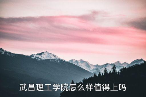 武昌理工學(xué)院怎么樣值得上嗎