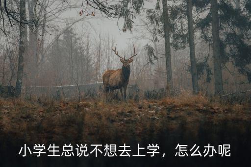小學(xué)生總說不想去上學(xué)，怎么辦呢