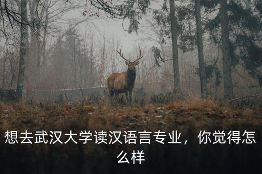 想去武漢大學讀漢語言專業，你覺得怎么樣