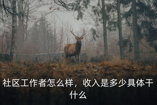 社區(qū)工作者怎么樣，收入是多少具體干什么