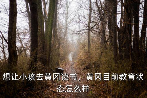 想讓小孩去黃岡讀書，黃岡目前教育狀態(tài)怎么樣