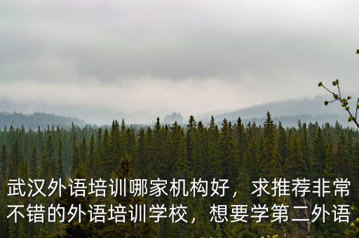 武漢外語培訓哪家機構好，求推薦非常不錯的外語培訓學校，想要學第二外語