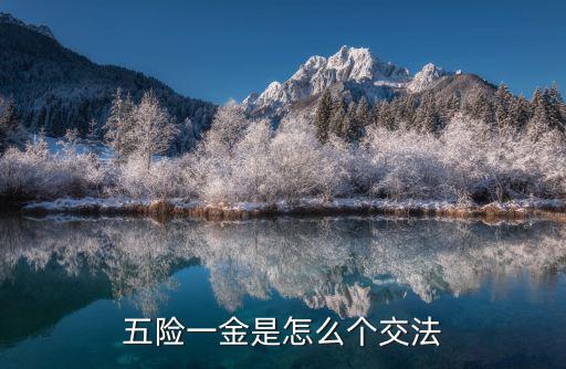 河南省太康縣怎么交五險一金,五險一金應該怎么繳納