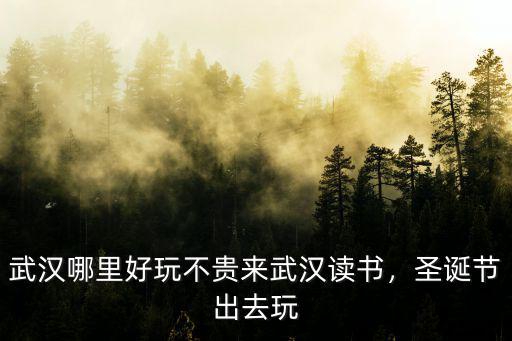 武漢哪里好玩不貴來武漢讀書，圣誕節出去玩