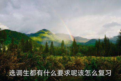 選調生都有什么要求呢該怎么復習