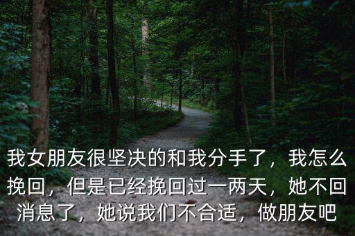 我女朋友很堅決的和我分手了，我怎么挽回，但是已經挽回過一兩天，她不回消息了，她說我們不合適，做朋友吧