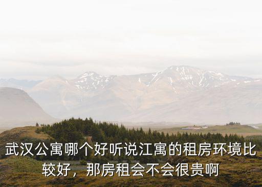 武漢祥瑞公寓租房怎么樣,武漢公寓哪個好