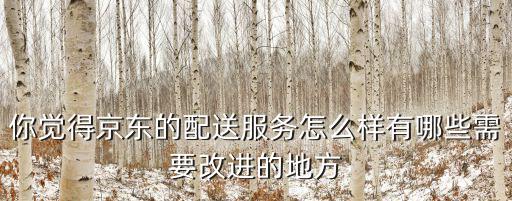 京東物流隨州隨縣配送站怎么樣,湖北隨州怎么樣
