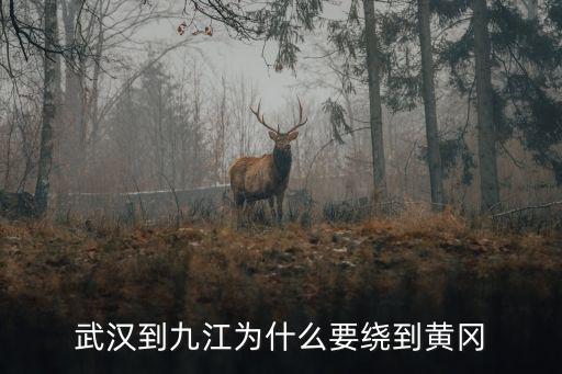 從南昌到黃岡怎么走,武漢到九江為什么要繞到黃岡
